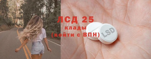 шишки Верхний Тагил