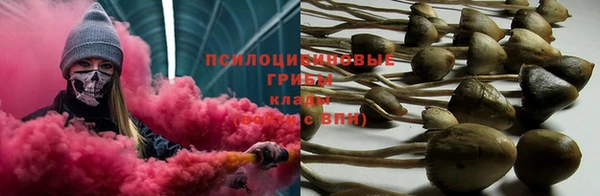 стафф Верея