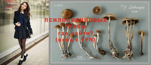стафф Верея