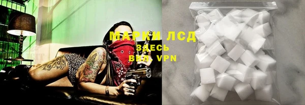 шишки Верхний Тагил