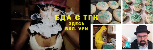 шишки Верхний Тагил