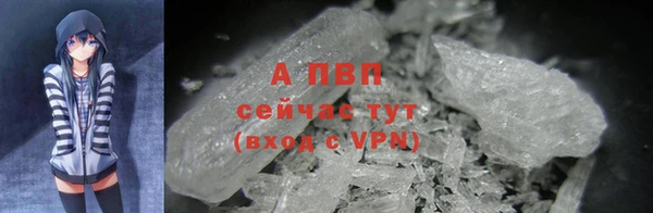 стафф Верея