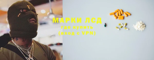 шишки Верхний Тагил