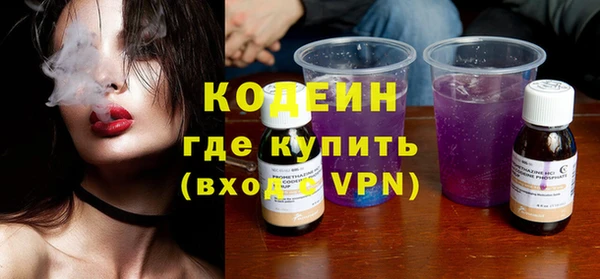шишки Верхний Тагил