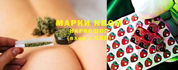шишки Верхний Тагил